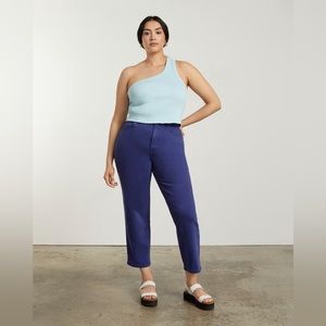 Everlane The Curvy Way-High Jean